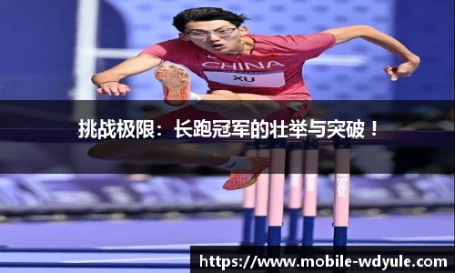 问鼎娱乐