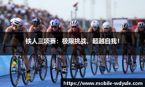 问鼎娱乐